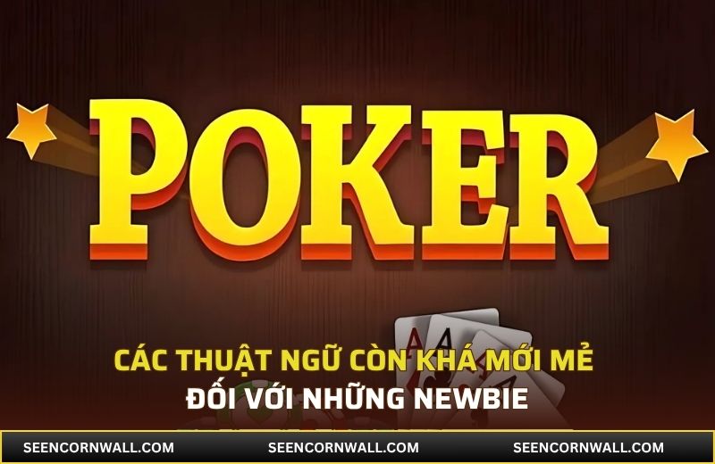 Các thuật ngữ còn khá mới mẻ đối với những newbie