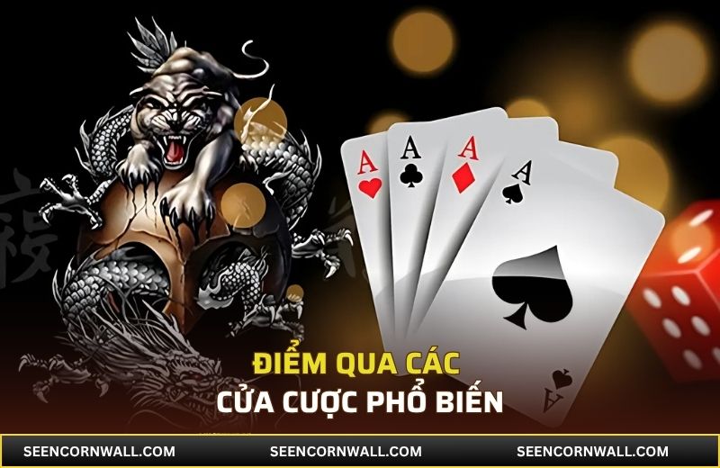 Điểm qua các cửa cược phổ biến