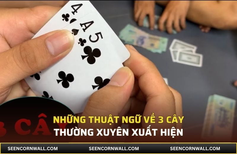 Hiểu rõ về ý nghĩa thuật ngữ của các quân bài