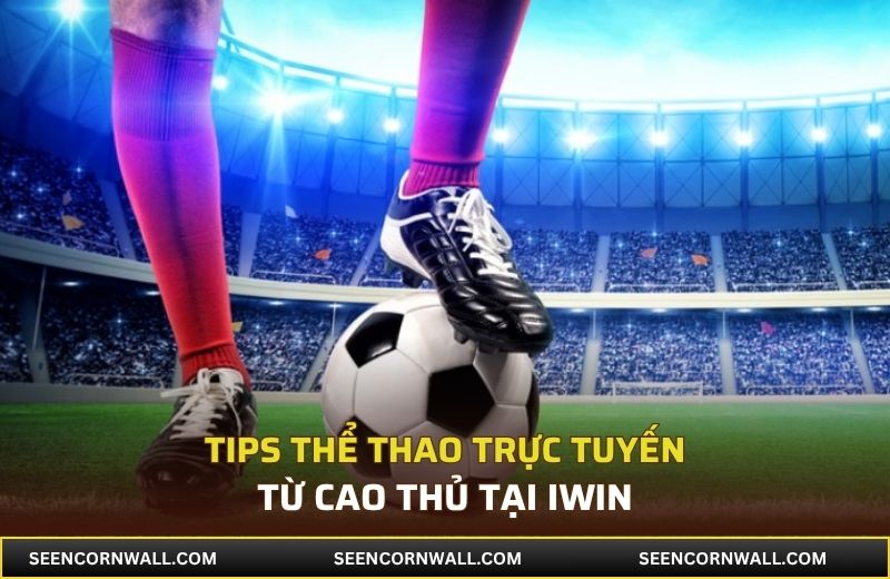 Kiến thức là yếu tố quan trọng nhất khi tham gia cá độ online