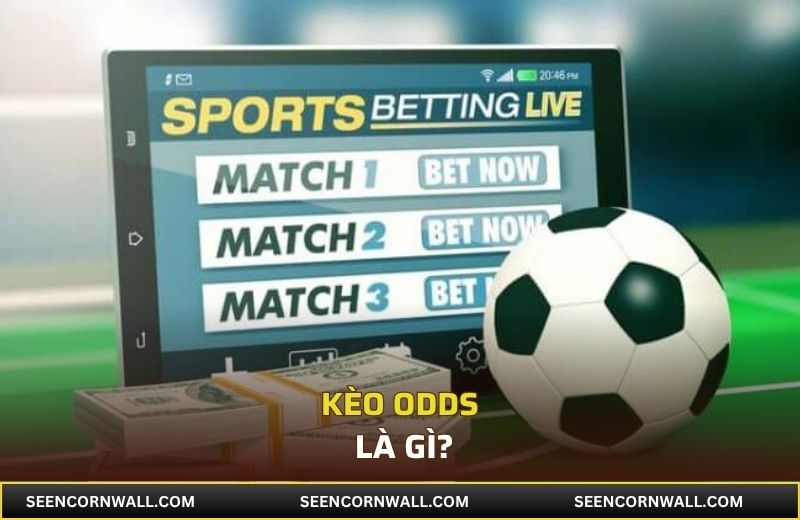 Mỗi loại kèo odds đều có ưu và nhược điểm riêng