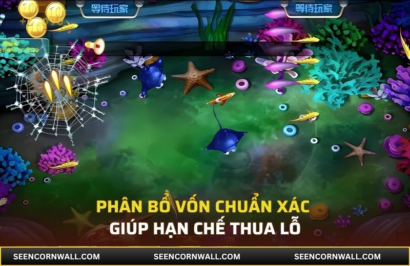 Phân bổ vốn chuẩn xác giúp hạn chế thua lỗ