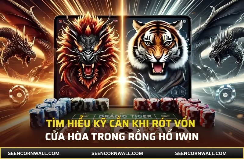 Tìm hiểu kỹ cần khi rót vốn cừa Hòa trong Rồng Hổ iWin